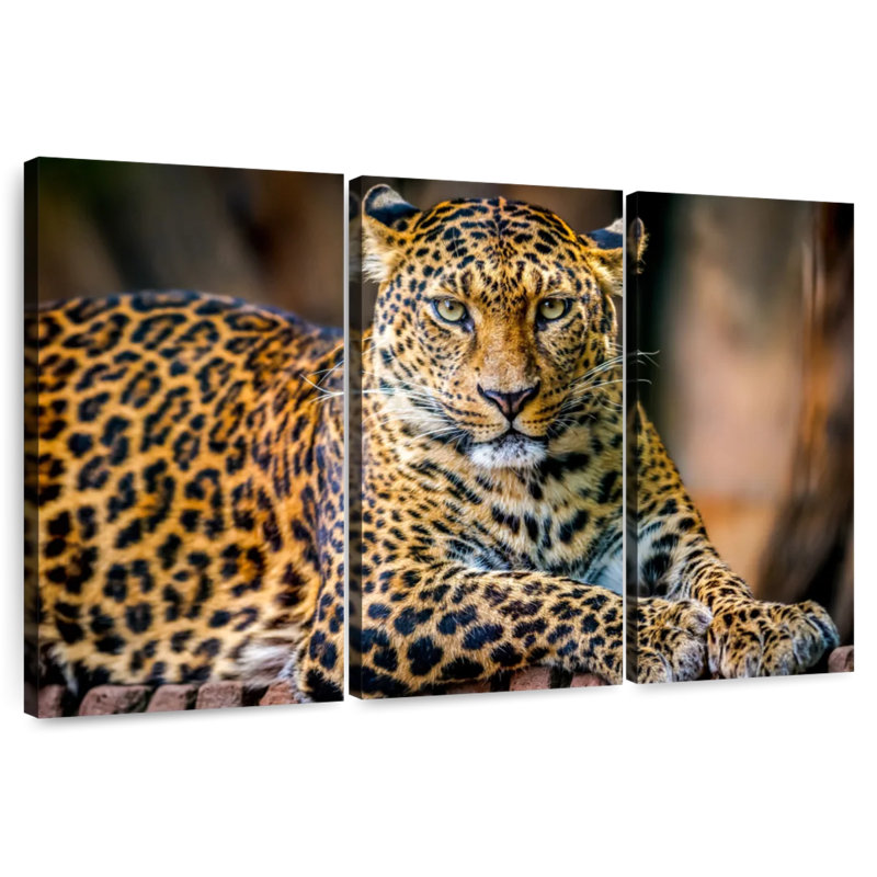 Jungle Wildlife Leopard, 20" H x 33" W