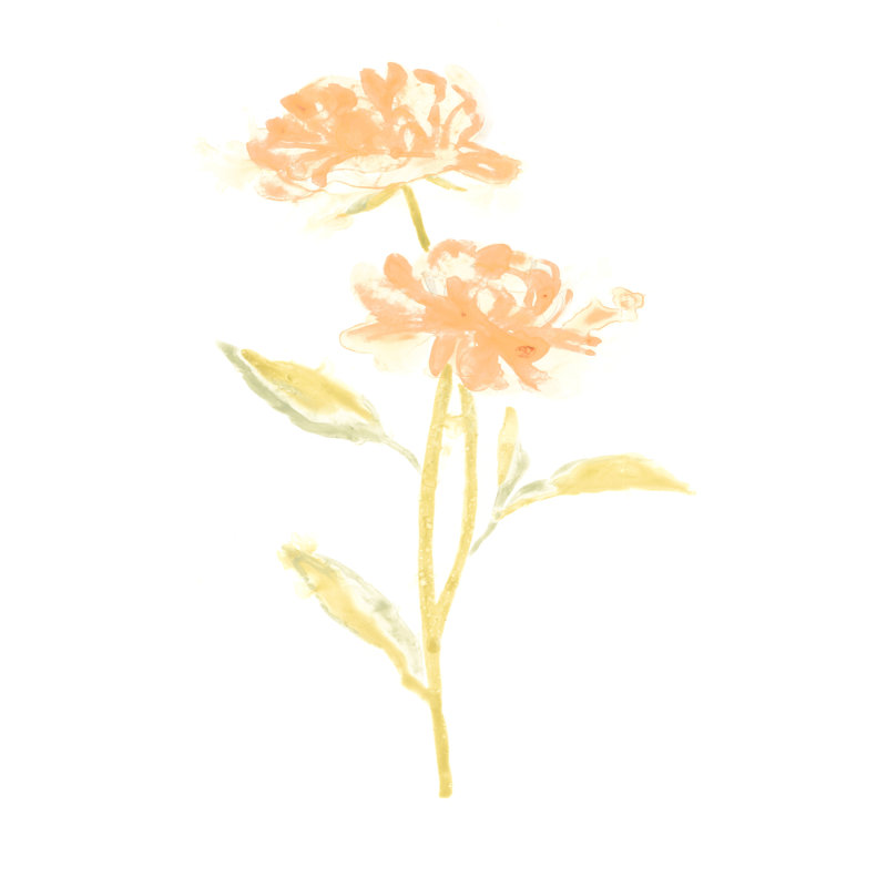 Bouquet Blush VII - Wrapped Canvas Print, 46cm H x 30cm W x 3.8cm D