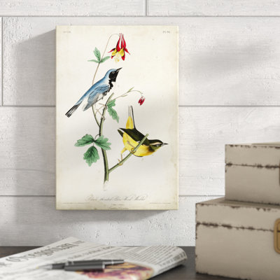 «Black-throated Blue Wood Warbler», peinture sur toile