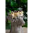 Magnesium Dog Statue Planter with Textured Brown Finish and Gold Leaf Crown