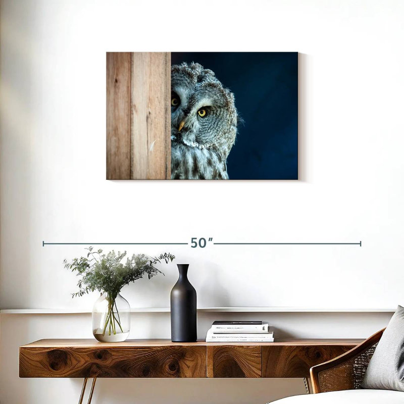 Peeking Owl - impression sur toile tendue, H 20 po x l 30 po x P 1,25 po
