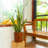 7.8 In. Dark Wood Plastic Self-Watering Planter Pot
