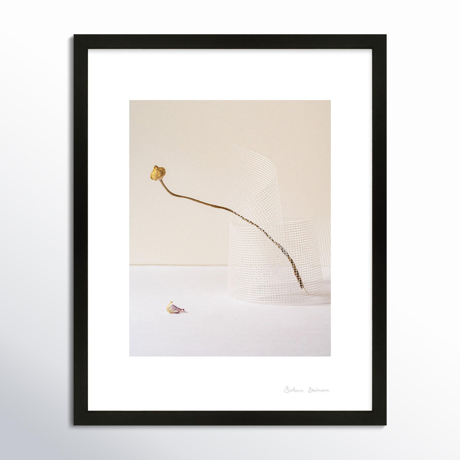 Lombard "Balance 2" Photo Print, Black, 20" H x 16" W x 1.25" D