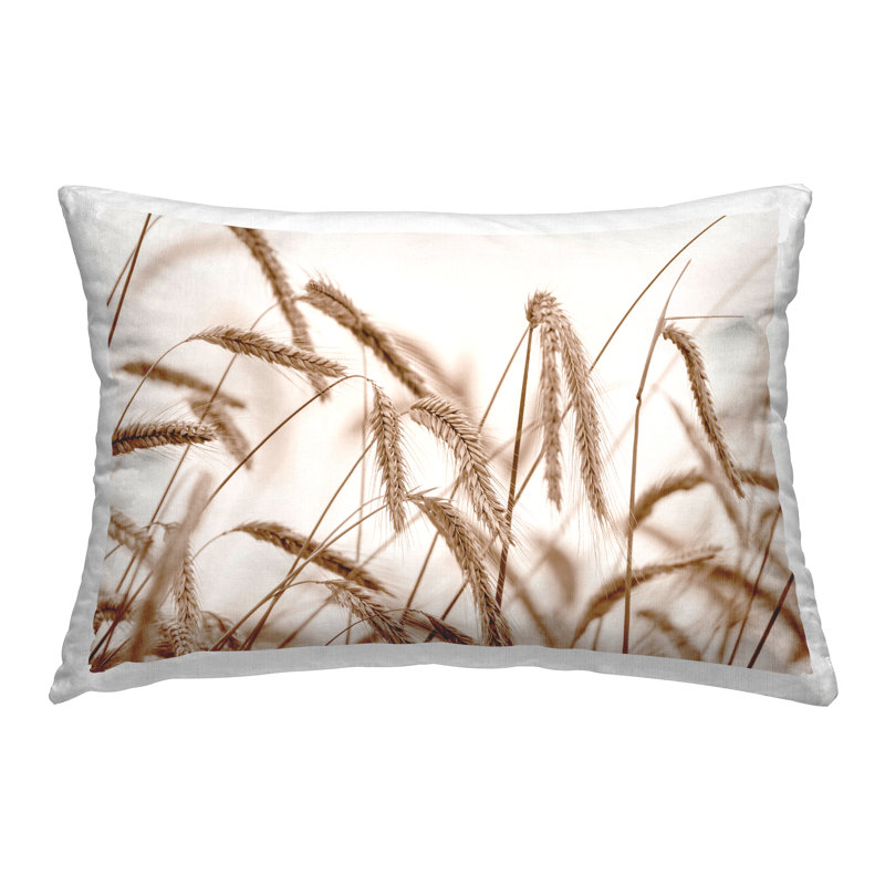 Coussin Windswept