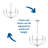 5 - Light Dimmable Classic / Traditional Chandelier-591499242
