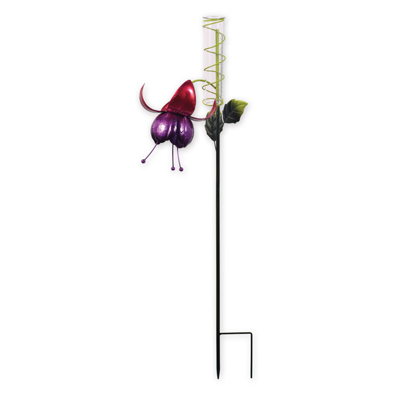 Jauge de pluie fuchsia Senay
