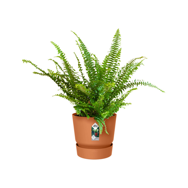 Balcony Planter, Ginger Brown