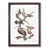 Walnut Framed selected