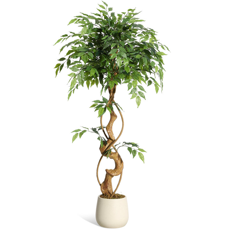 Plant, 120cm H x 20cm W x 20cm D