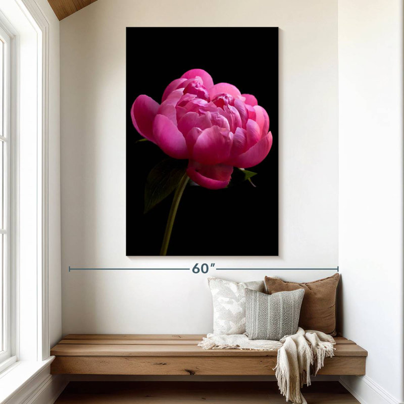 Magenta pivoine, H 51 po x l 34 po