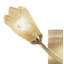 Kittinger Wallchiere