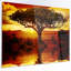 «Lonely Tree in African Sunset», impression-35062469-35062480