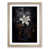 Oak Framed selected