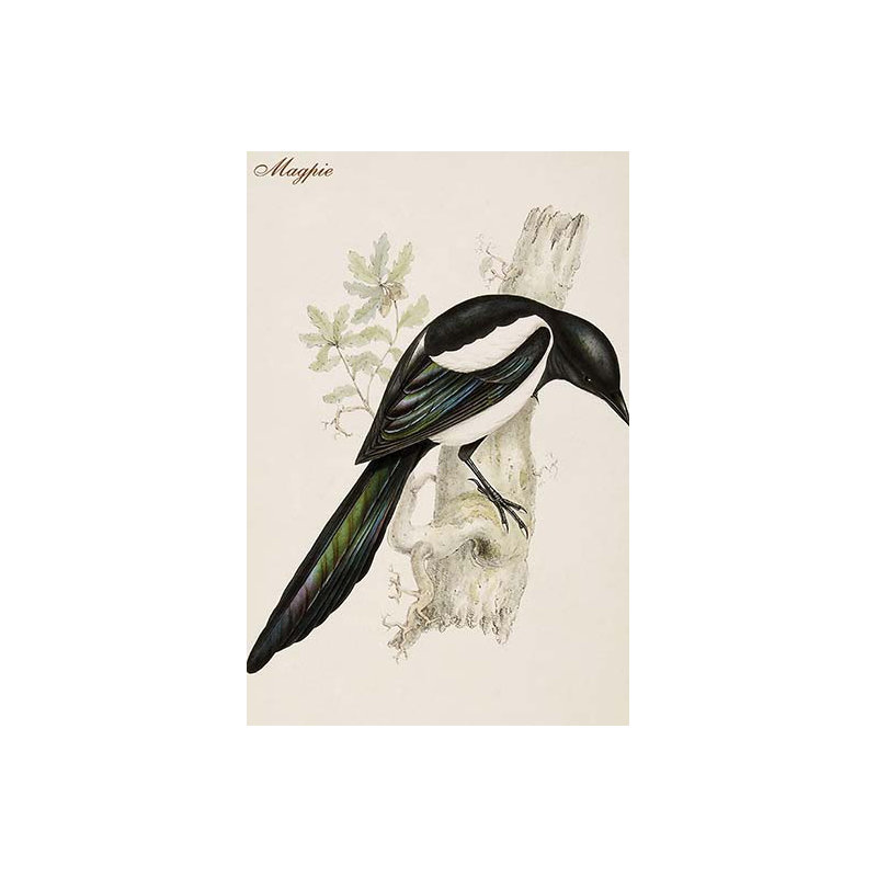 Magpie-impression d’art graphique, H 36 po x l 24 po x P 1,5 po