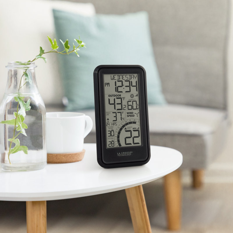 Wind Speed Weather Station with Wind Sensor