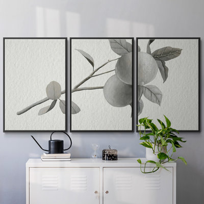 " Limonero II " 3 - Pieces