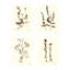Antique Pressed Botanical Print by Sandy Whitaker