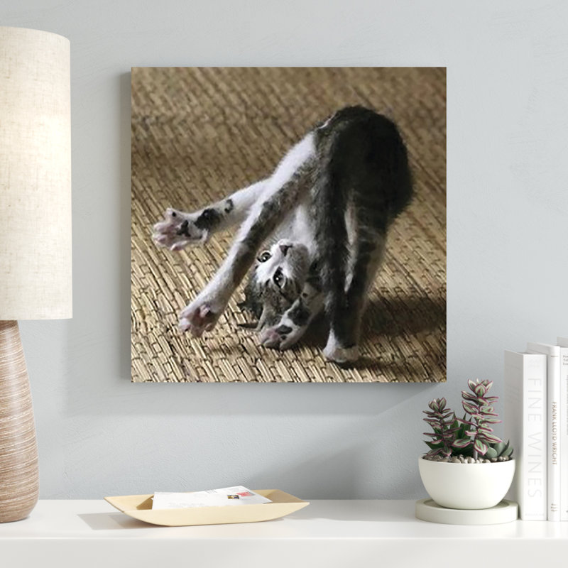 Cat Yoga IV, H 20 po x l 20 po