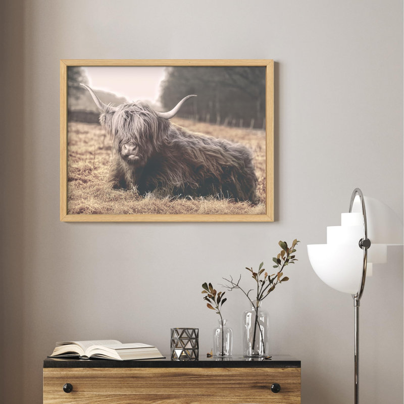 Illustration d'une petite vache Highland, Naturel, H 12 po x l 16 po