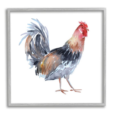 Stupell Industries Rooster Farm Animal Portrait, art de la giclée encadrée par Claudia Bianchi