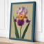 Bearded Iris Botanical - Wrapped Canvas-1689833455-1689833462