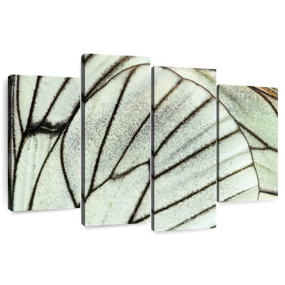 Brampt Simple Butterfly Wings