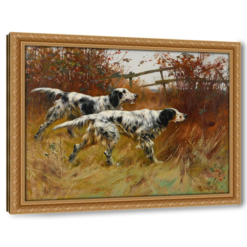 English Setters