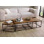 LICHTENBERG Coffee Table with Storage