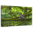 Brampt Mossy Tree Owl-108697619
