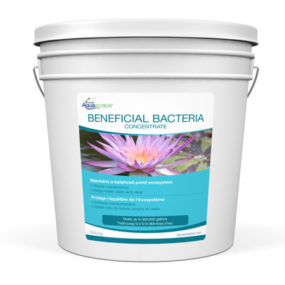 Beneficial Bacteria Concentrate for Ponds