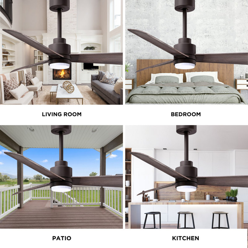 Alessandra - Three Blade Transitional Ceiling Fan -LED, Gray Ash Tone, Textured Bronze, 56"