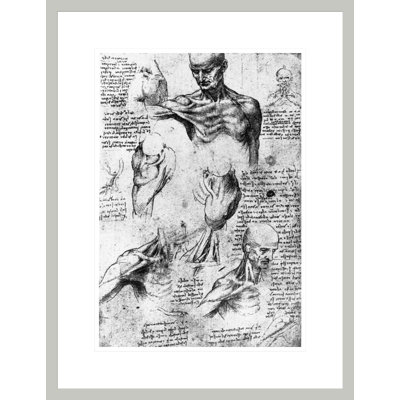 Drawing of anatomical studies by Leonardo da Vinci -Framed Giclee Print