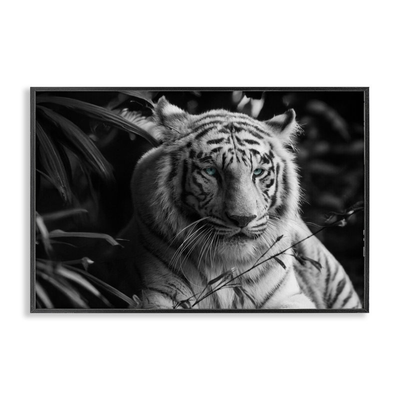 Tigre parmi les plantes de la jungle, estampe numérique, conception par Annabelle Hall, H 12 po x l 18 po