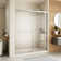 60'' - W x 70'' H Door Semi-Frameless Shower Door with