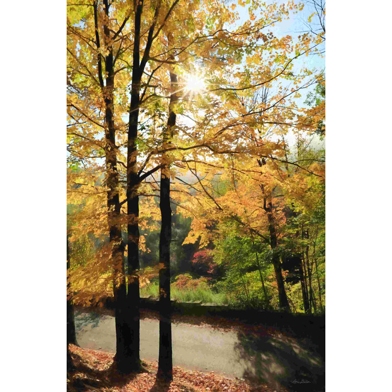 Wrapped Canvas Photograph, 12" H x 8" W