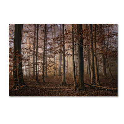 'Autumn' Photographic Print on Wrapped Canvas