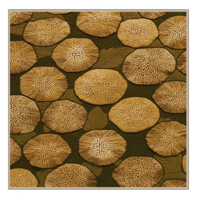  Tapis lavable à fruits à pain