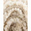 Tapis Yanaliz-1532214877
