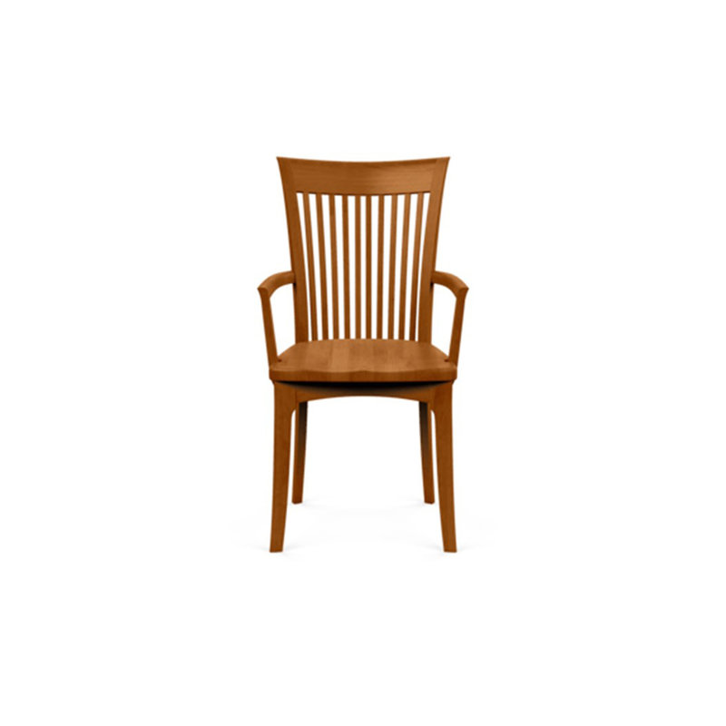 Sarah 19.25'' H Upholstered Armchair, Autumn Cherry, None