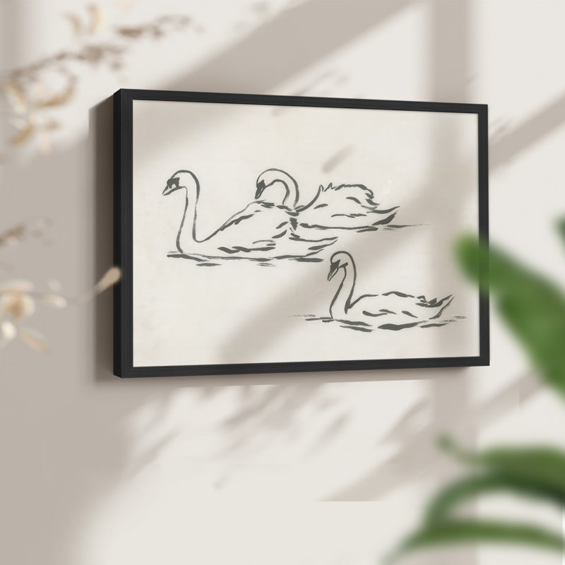 Swan Sketch I -Framed Print - Restickable, H 22 po x l 28 po, Noir, noir, noir, noir