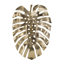 Décoration murale feuille d'or 24,8 x 17,3 x 2 po Monstera-396092131
