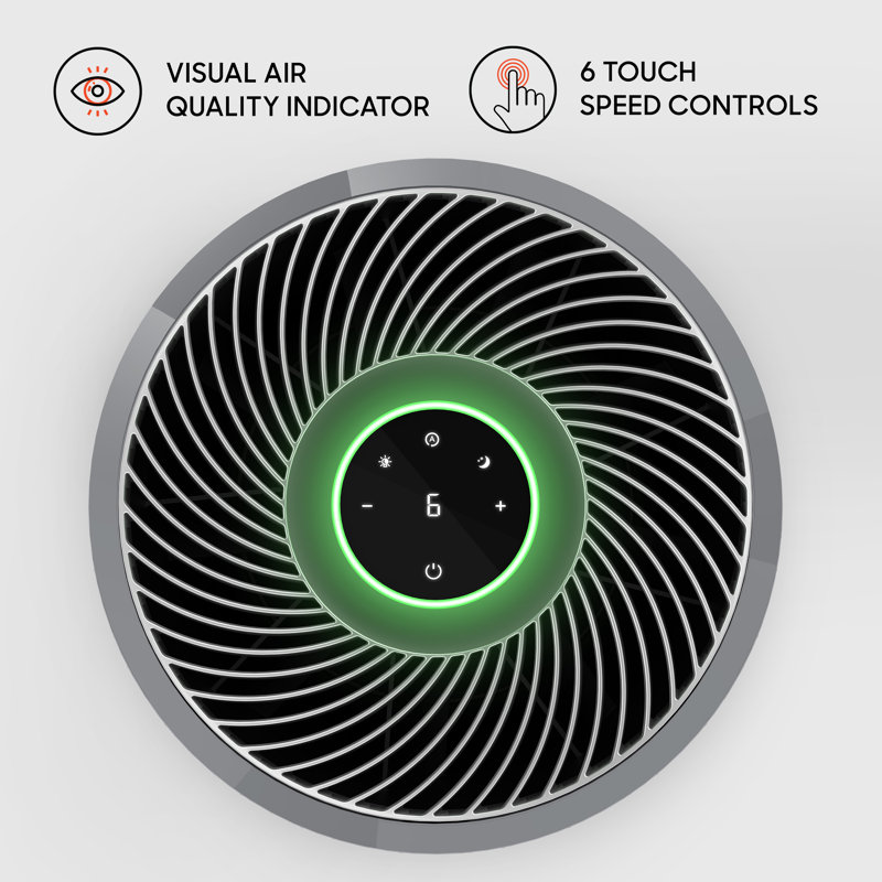 Gray HEPA Air Purifier with Odor Absorbing Filter