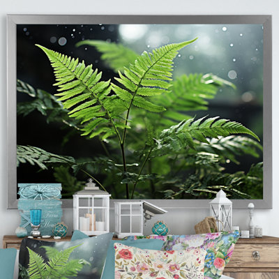 Ferns Close up Photo IV - Print