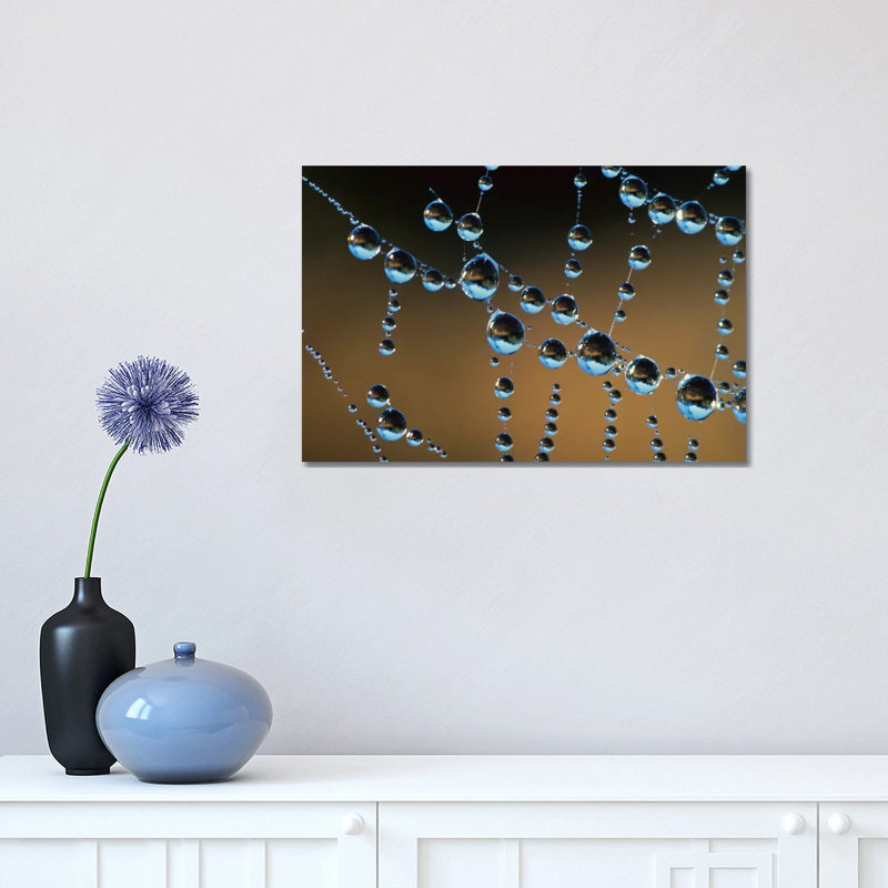 Raindrops On A Spider Web, New Zealand by Andy Reisinger - Wrapped Canvas Print, 30.48cm H x 45.72cm W