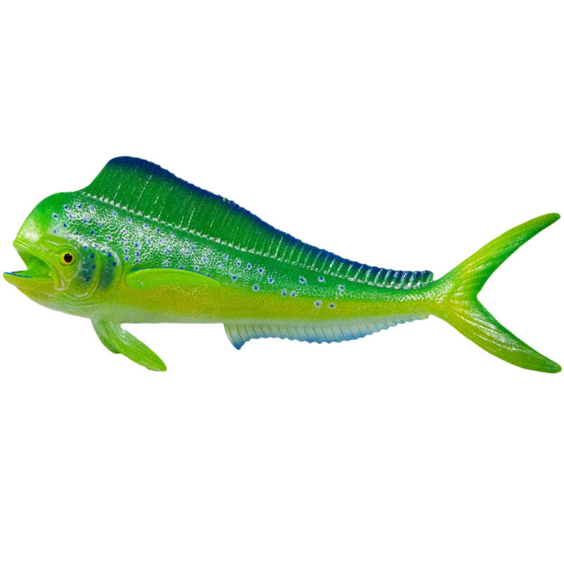 Mahi-Mahi (poisson dauphin)