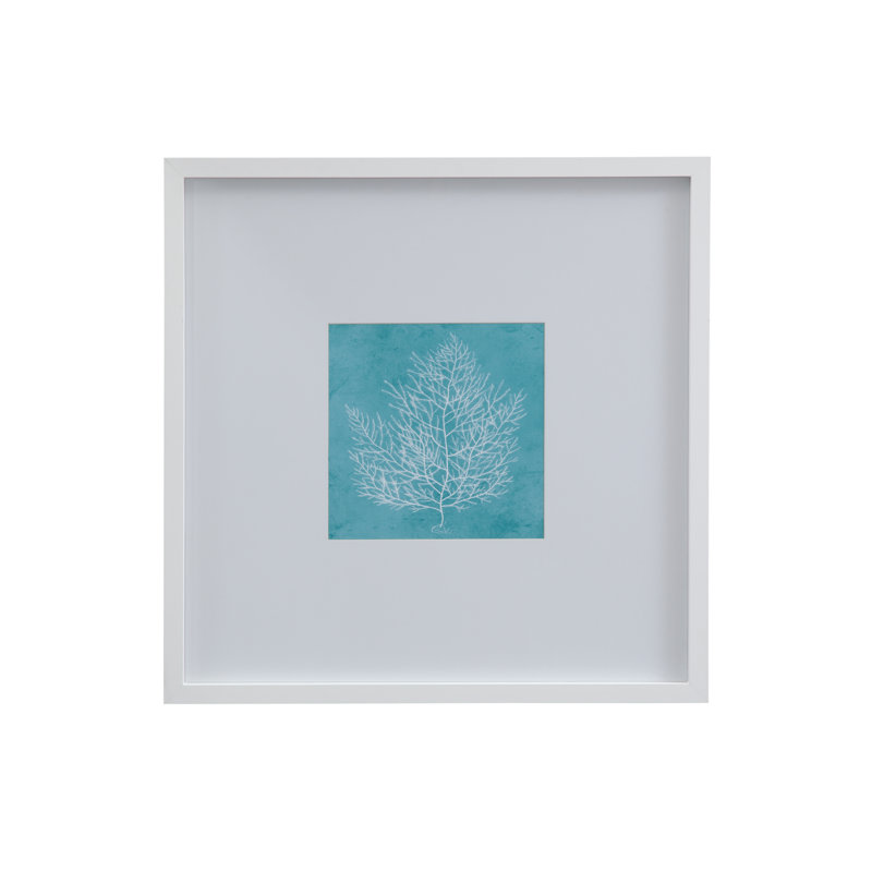 «White Coral on Blue I», reproduction encadrée