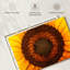 Centre de tournesol Harnek-107844110