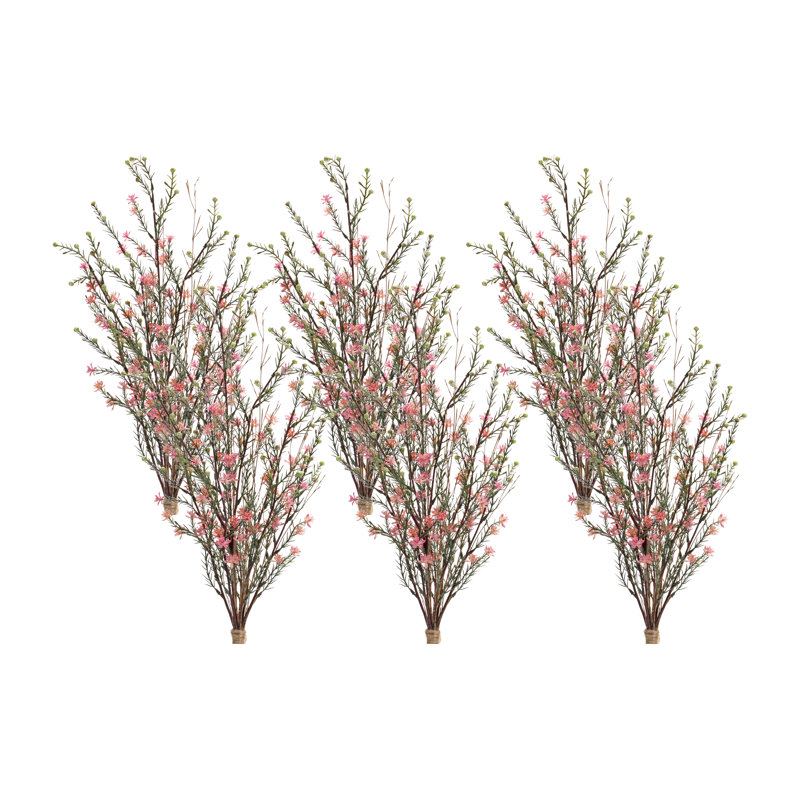Leptospermum Steam