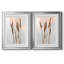 Danita Delimont - ensemble de 2 reproductions de photos-442514285-442514287-442514277