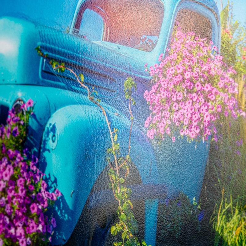 Photographie de voiture bleue Aldemar sur métal